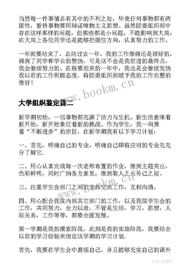 2023年大学组织鉴定 大学团委组织部个人年终总结(实用10篇)