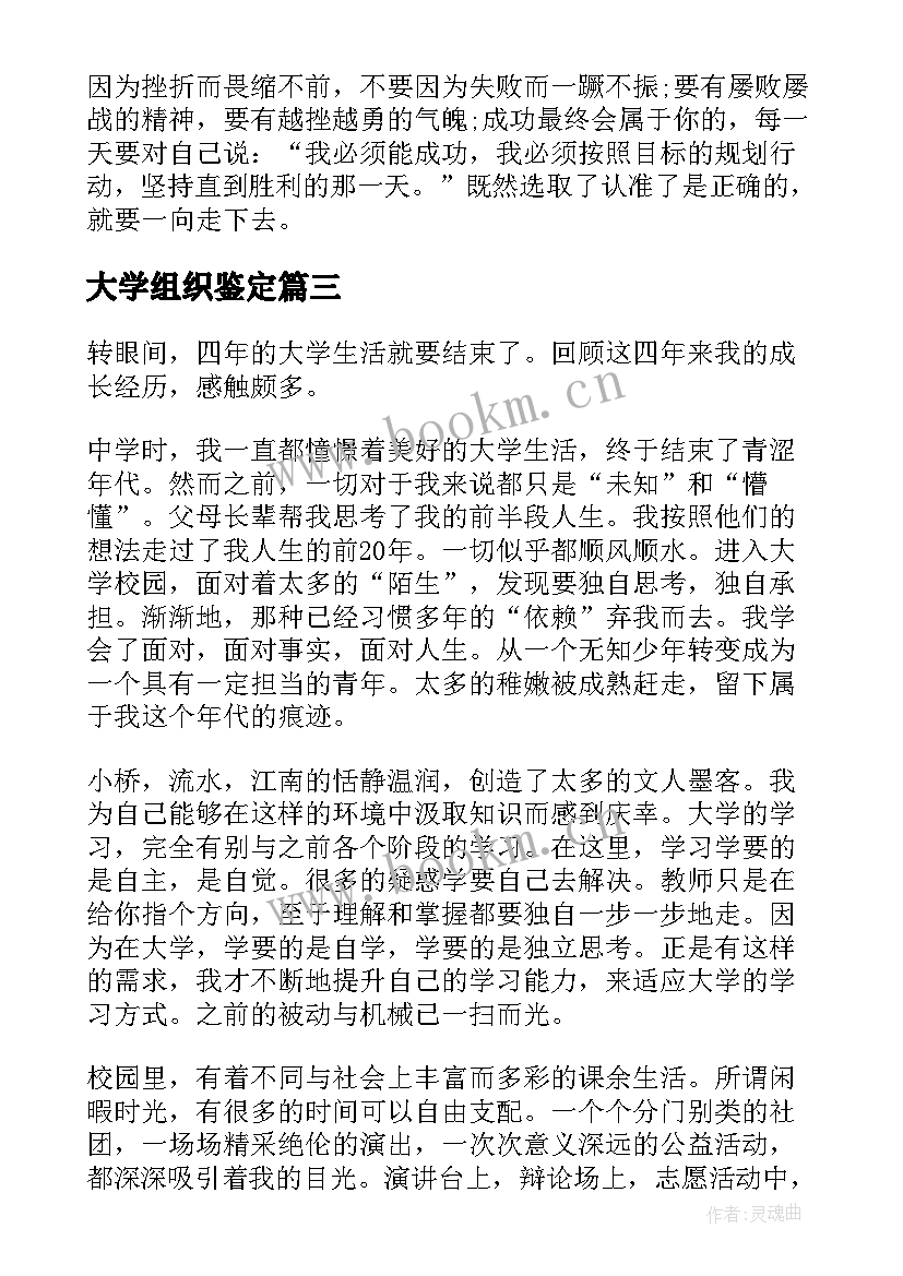 2023年大学组织鉴定 大学团委组织部个人年终总结(实用10篇)