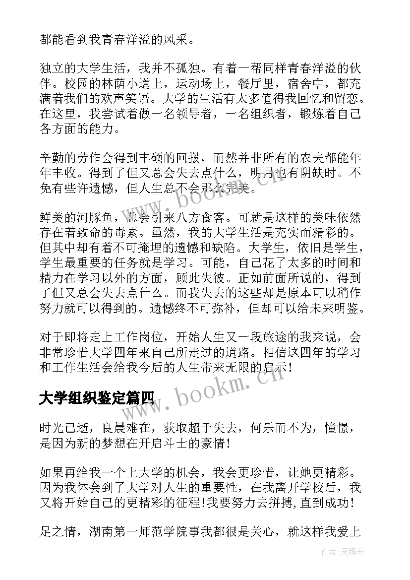 2023年大学组织鉴定 大学团委组织部个人年终总结(实用10篇)