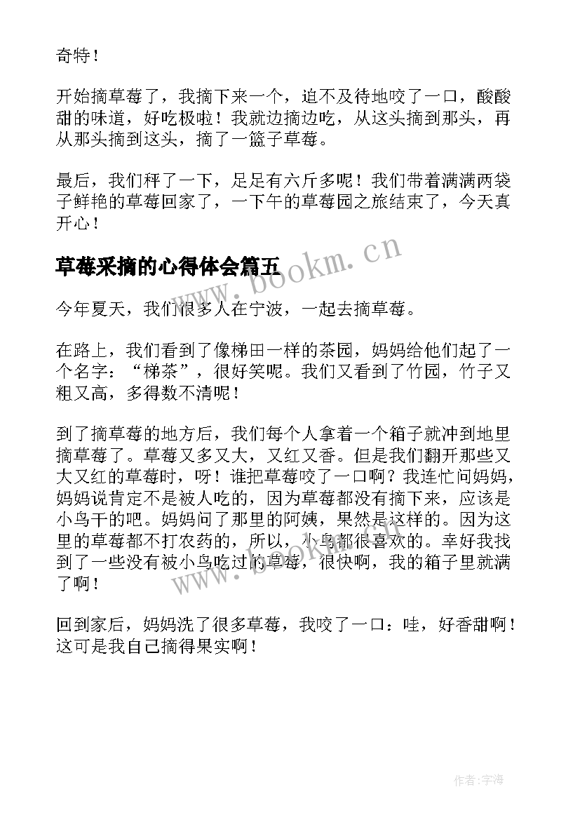 最新草莓采摘的心得体会(实用5篇)