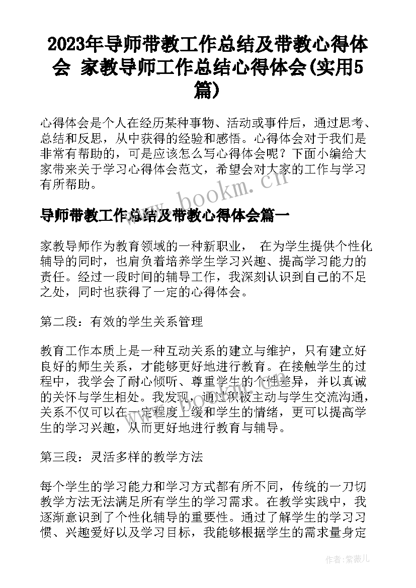 2023年导师带教工作总结及带教心得体会 家教导师工作总结心得体会(实用5篇)