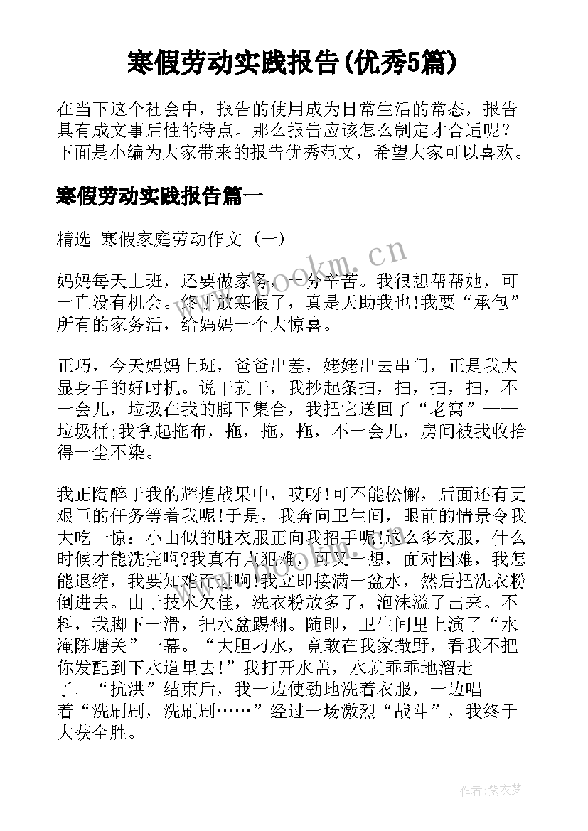 寒假劳动实践报告(优秀5篇)