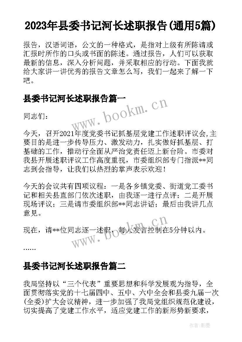 2023年县委书记河长述职报告(通用5篇)