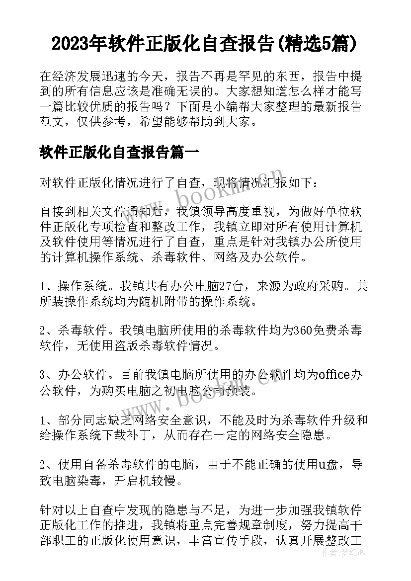 2023年软件正版化自查报告(精选5篇)