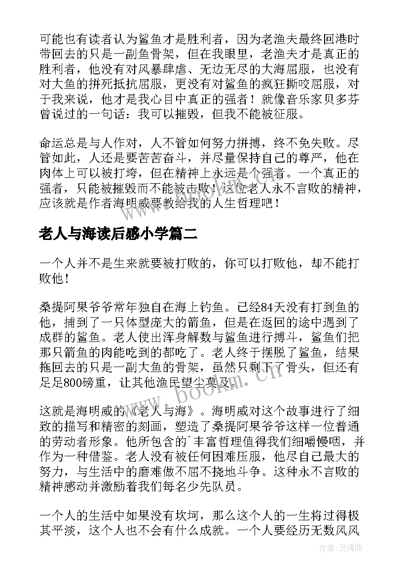 最新老人与海读后感小学 小学生暑假老人与海读后感(实用5篇)