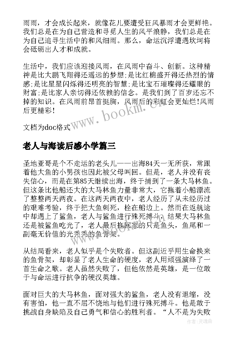 最新老人与海读后感小学 小学生暑假老人与海读后感(实用5篇)