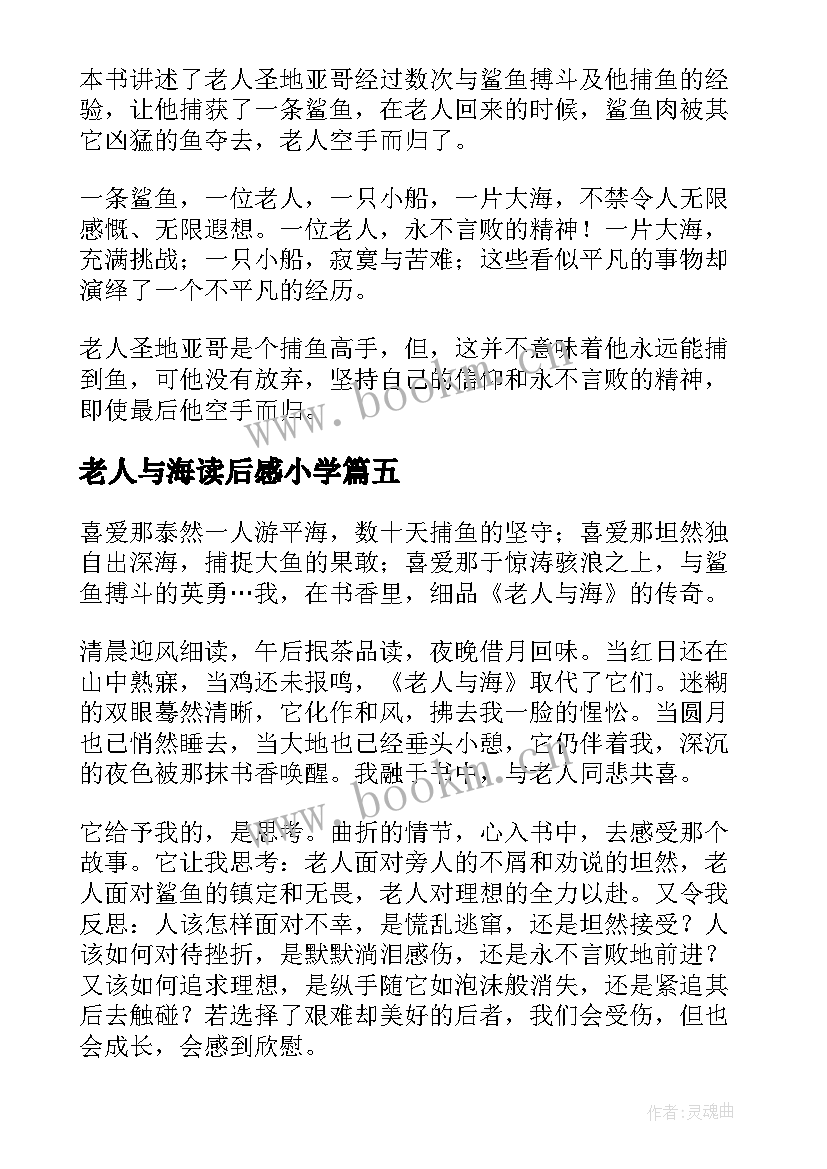 最新老人与海读后感小学 小学生暑假老人与海读后感(实用5篇)