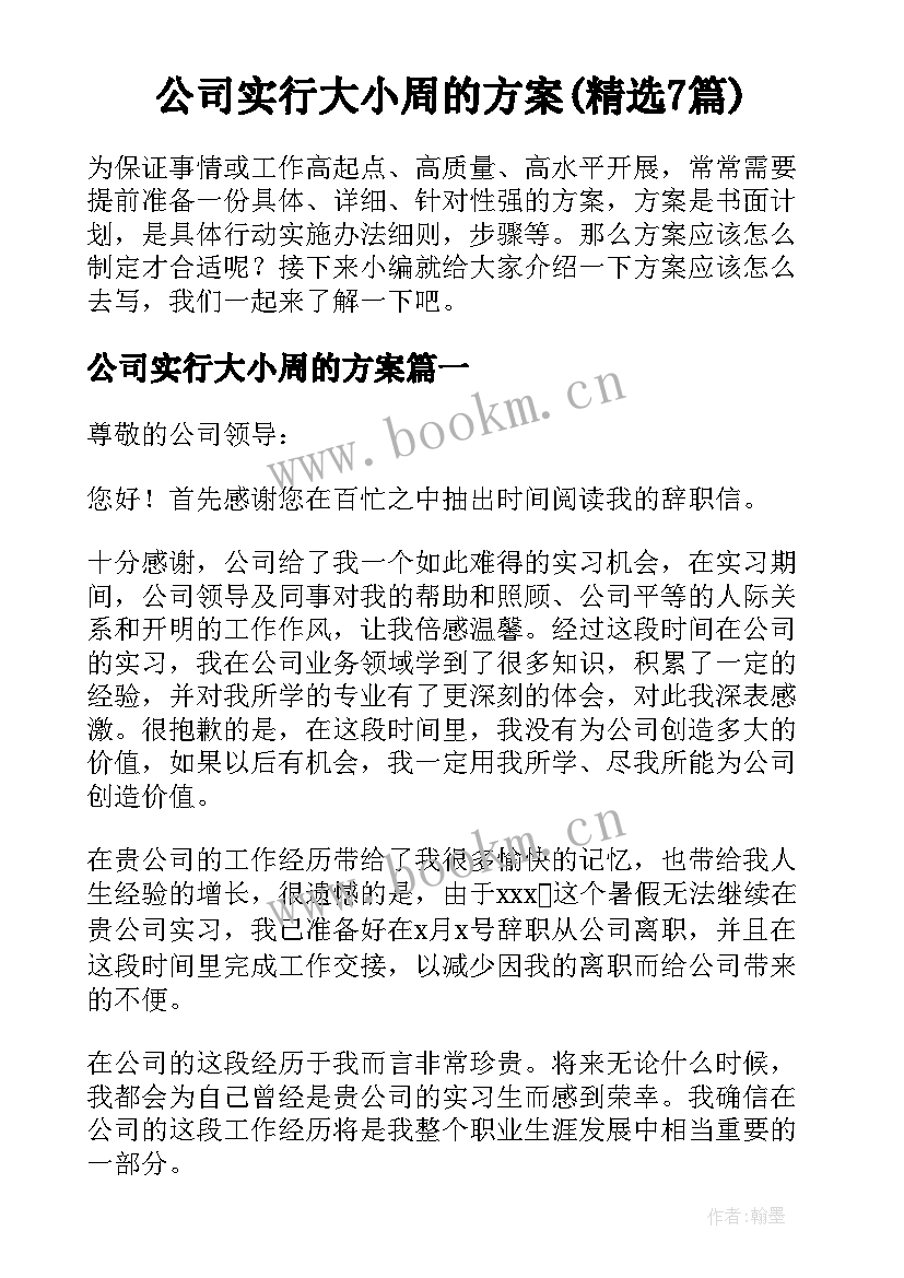 公司实行大小周的方案(精选7篇)