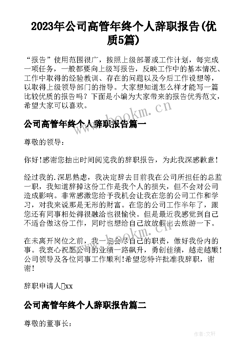 2023年公司高管年终个人辞职报告(优质5篇)