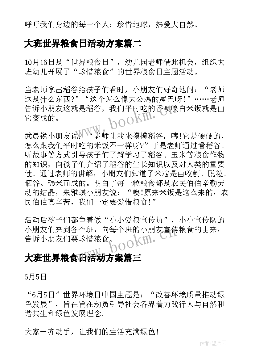 2023年大班世界粮食日活动方案(实用5篇)