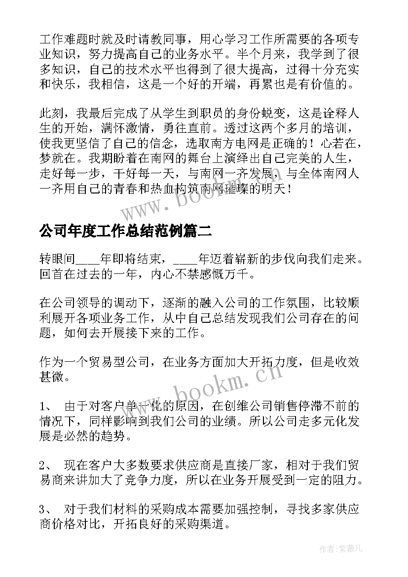 最新公司年度工作总结范例(通用5篇)