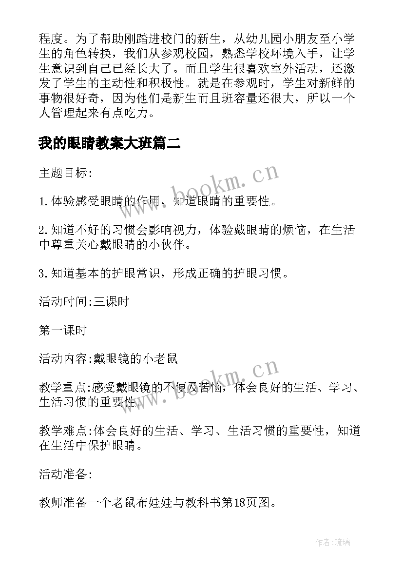 2023年我的眼睛教案大班(汇总5篇)