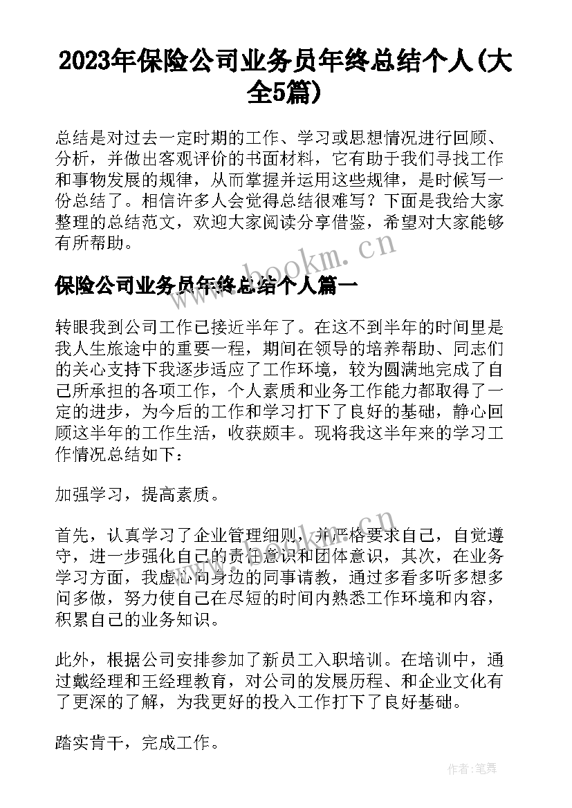 2023年保险公司业务员年终总结个人(大全5篇)