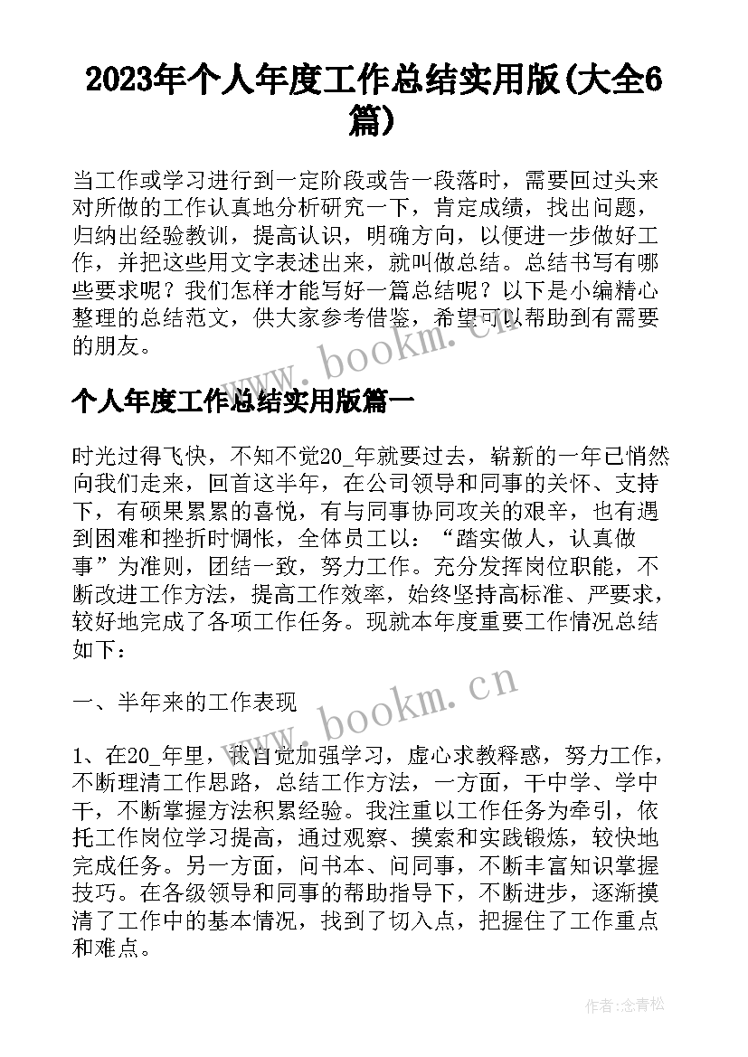 2023年个人年度工作总结实用版(大全6篇)