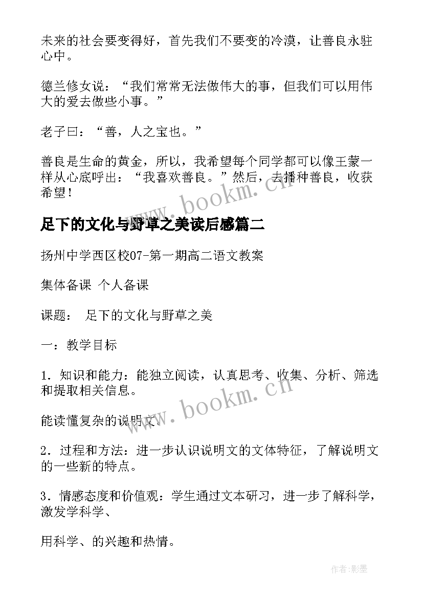 2023年足下的文化与野草之美读后感(优秀5篇)