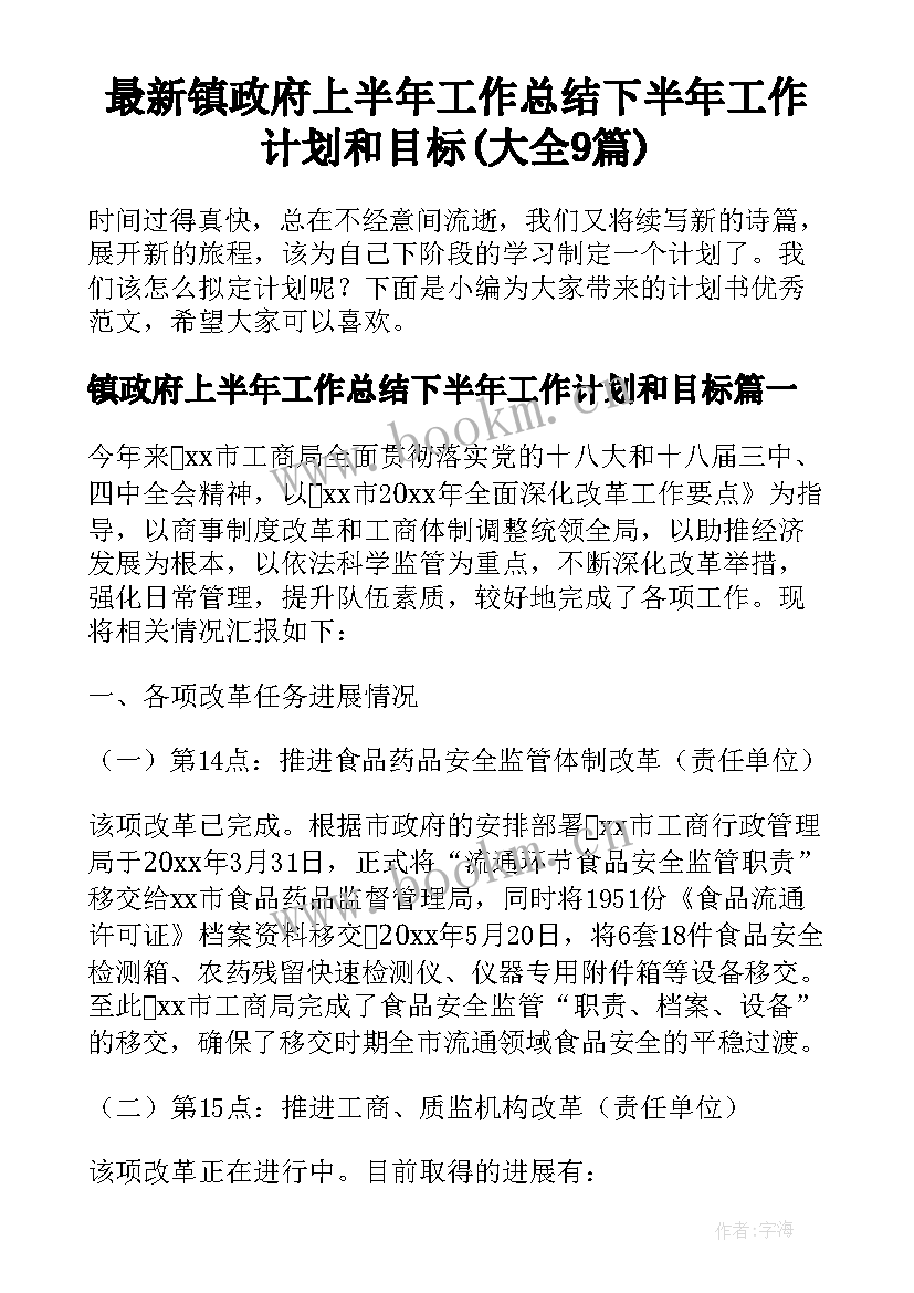 最新镇政府上半年工作总结下半年工作计划和目标(大全9篇)