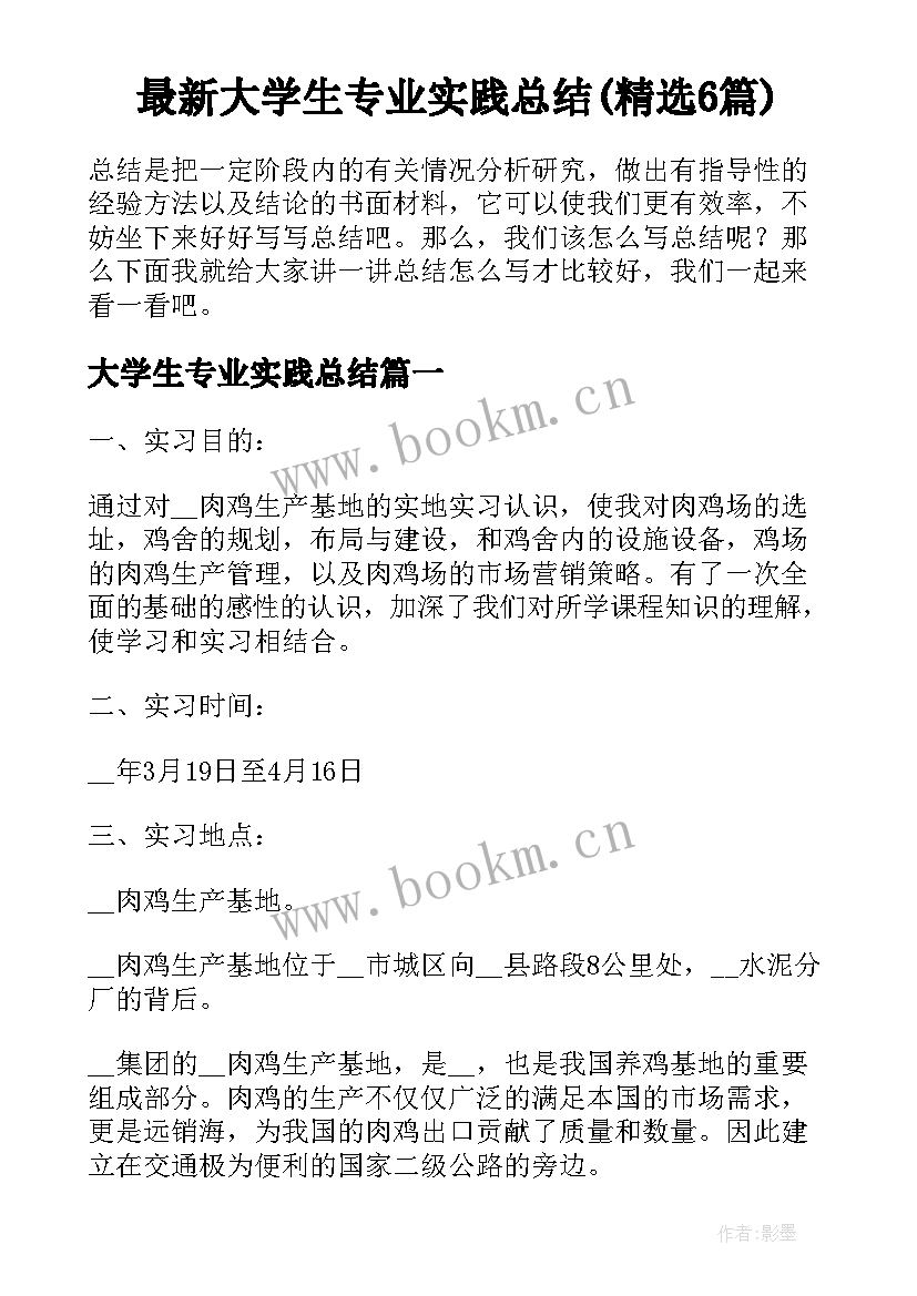 最新大学生专业实践总结(精选6篇)