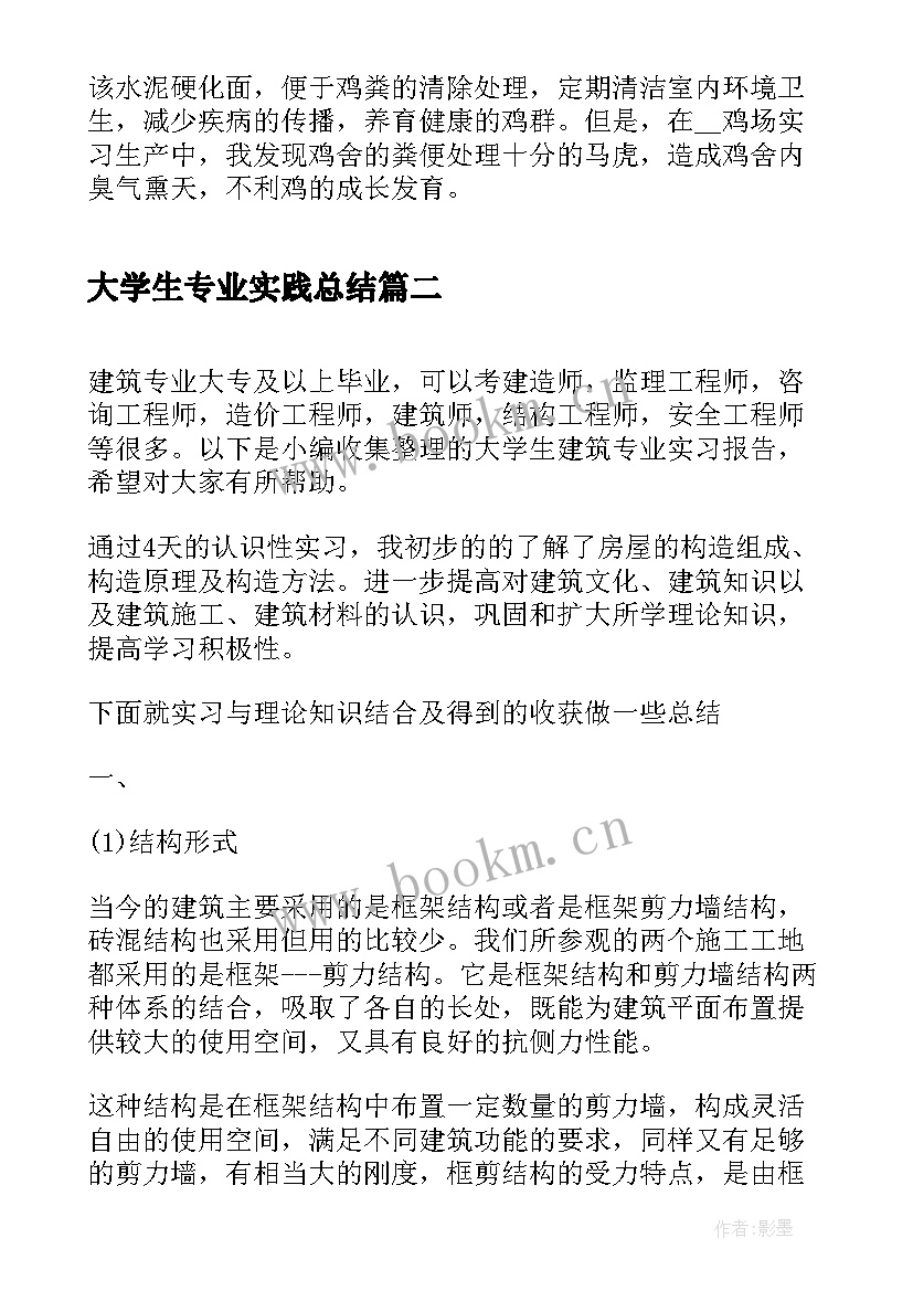 最新大学生专业实践总结(精选6篇)