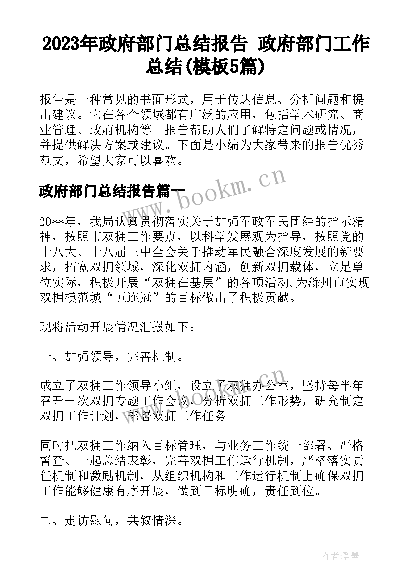 2023年政府部门总结报告 政府部门工作总结(模板5篇)