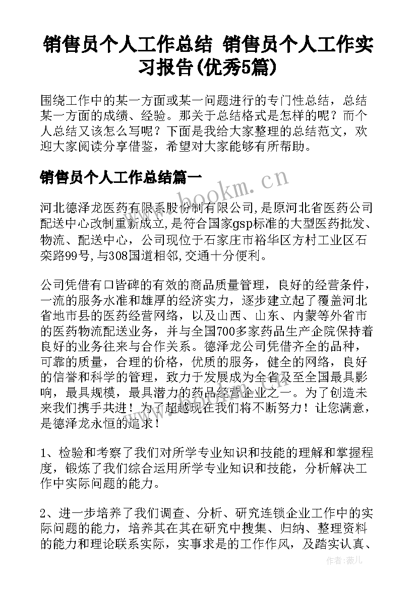 销售员个人工作总结 销售员个人工作实习报告(优秀5篇)