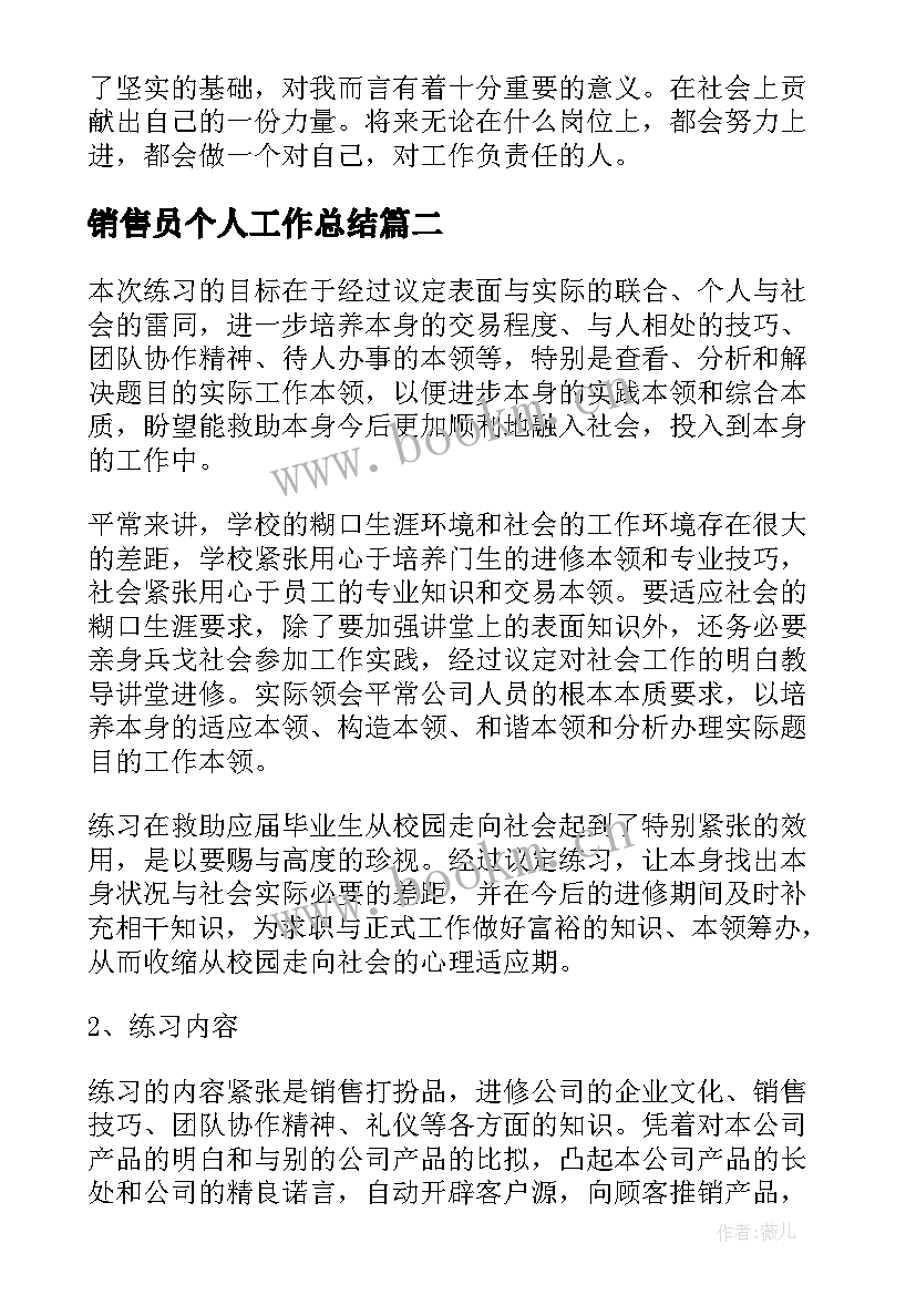 销售员个人工作总结 销售员个人工作实习报告(优秀5篇)