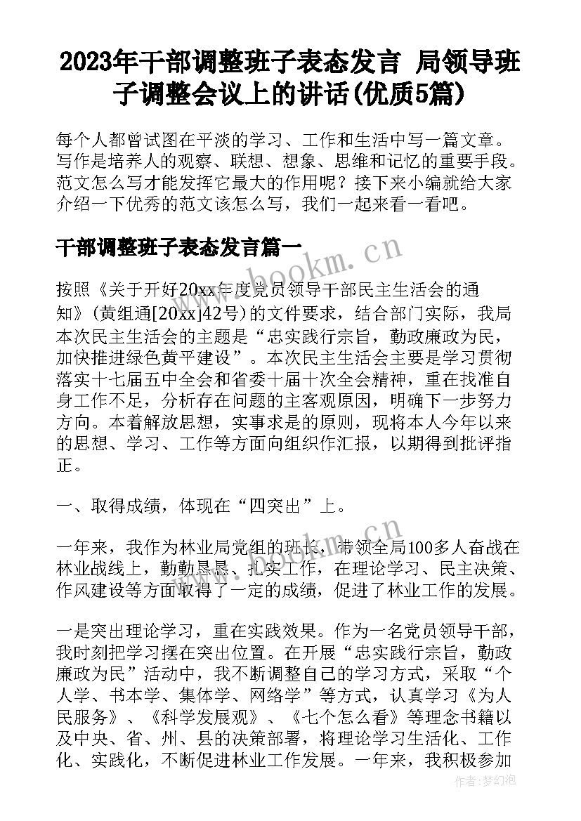 2023年干部调整班子表态发言 局领导班子调整会议上的讲话(优质5篇)