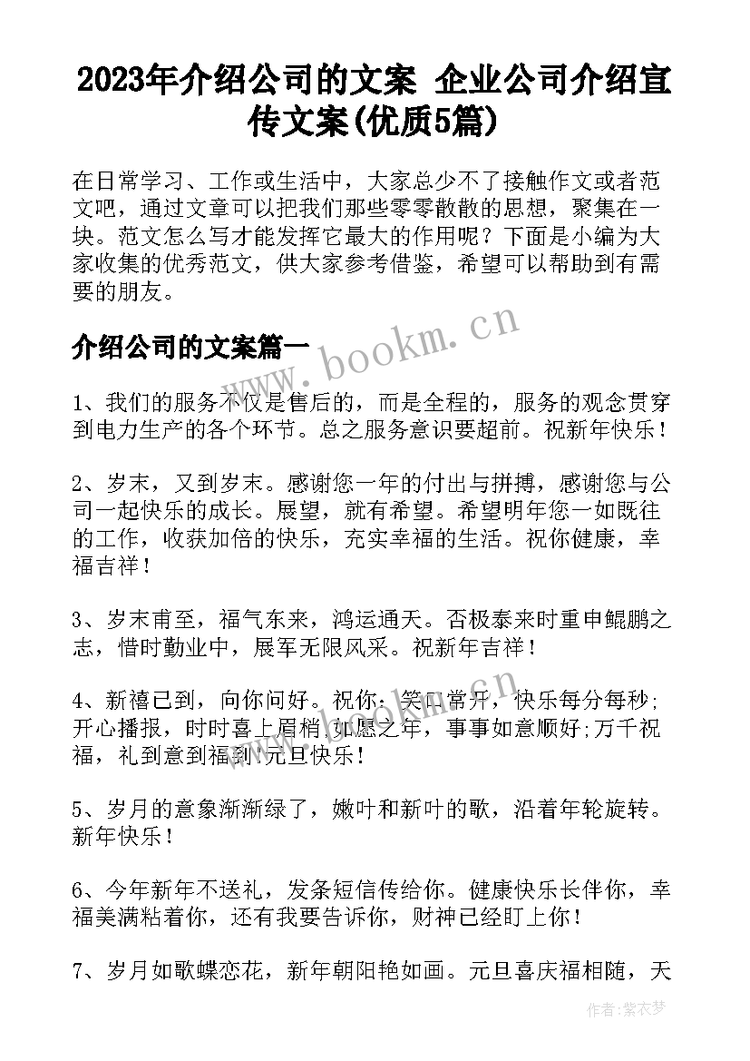 2023年介绍公司的文案 企业公司介绍宣传文案(优质5篇)