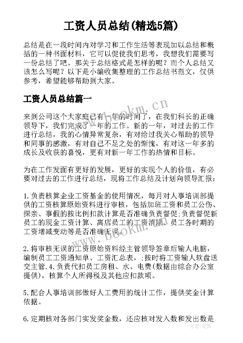 工资人员总结(精选5篇)