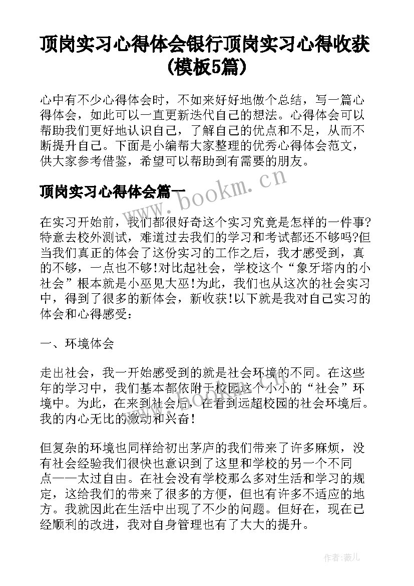 顶岗实习心得体会 银行顶岗实习心得收获(模板5篇)