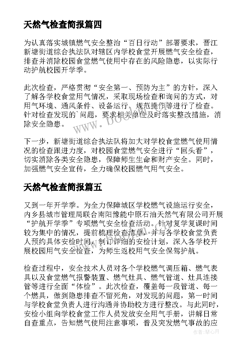 2023年天然气检查简报(精选5篇)