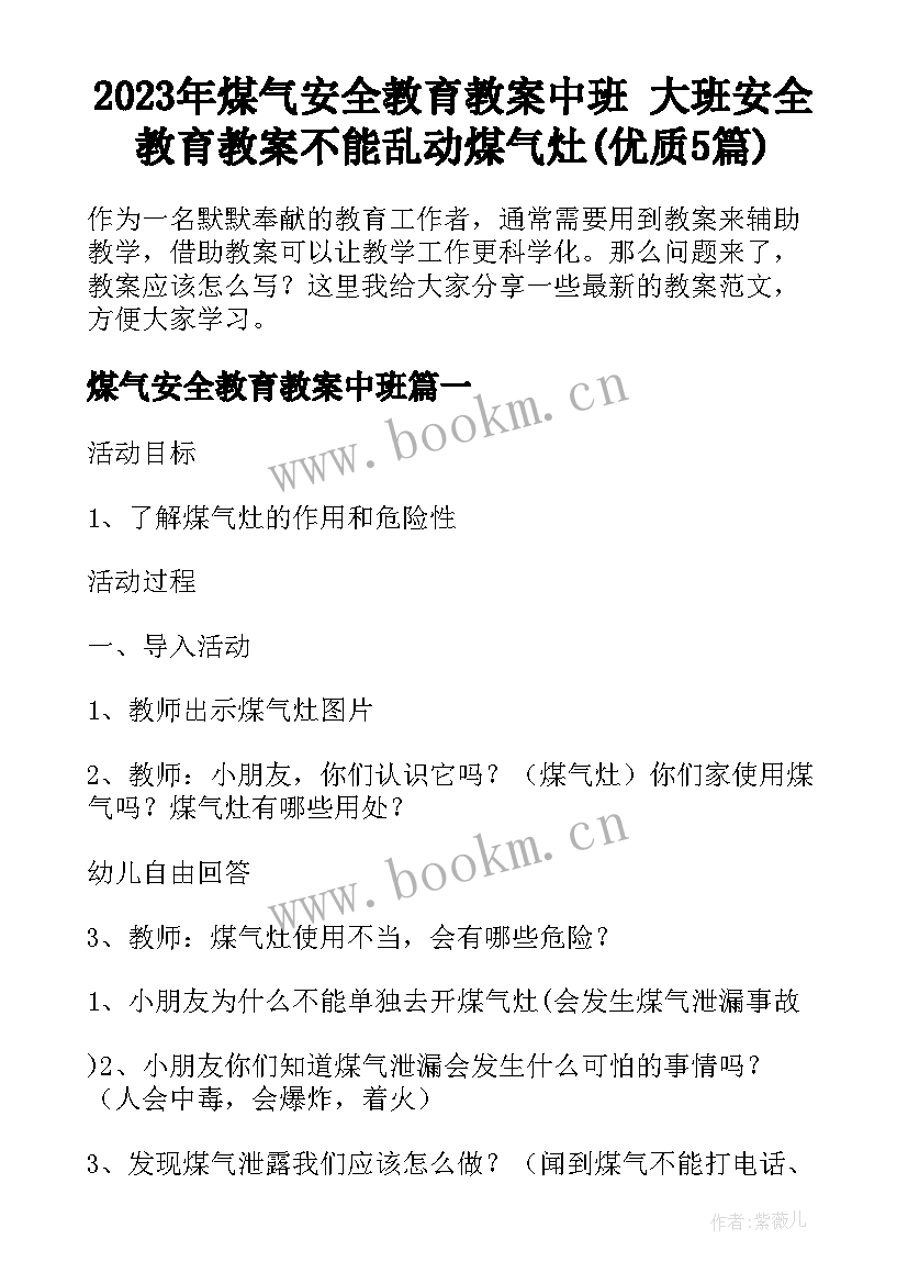 2023年煤气安全教育教案中班 大班安全教育教案不能乱动煤气灶(优质5篇)