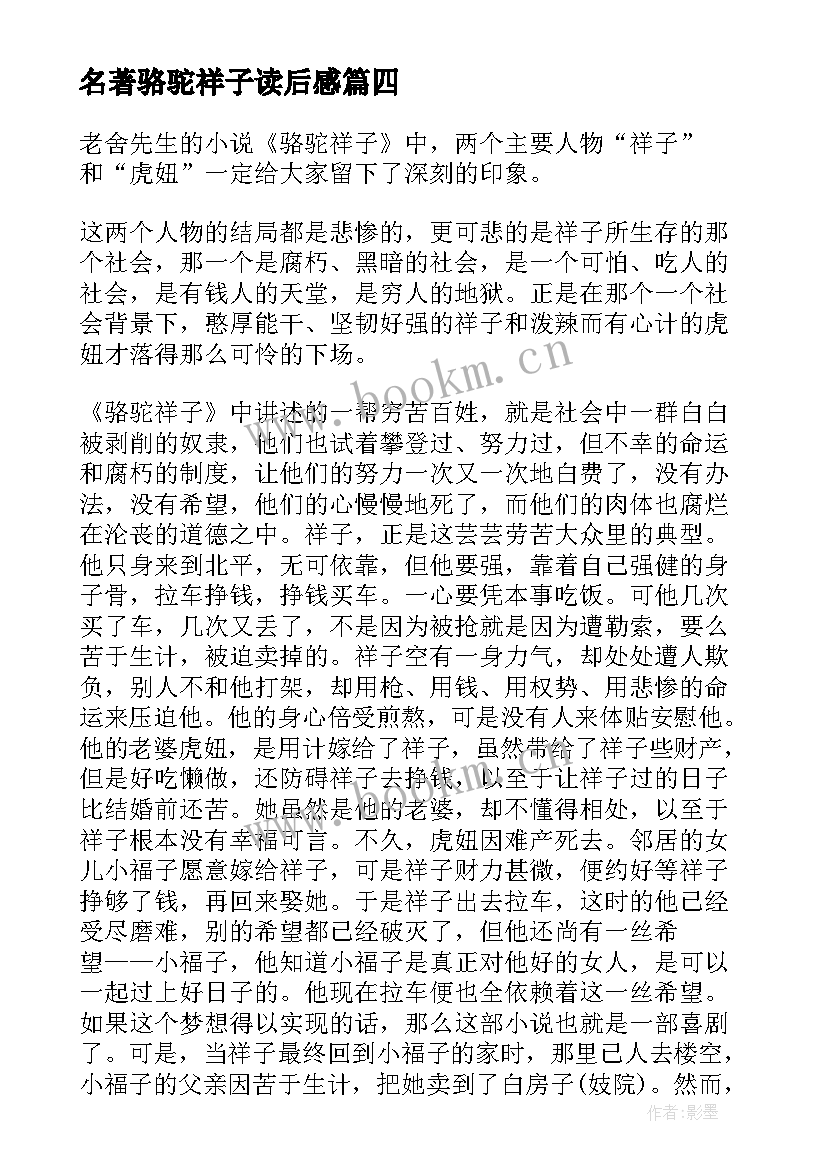 名著骆驼祥子读后感 骆驼祥子名著读后感(精选10篇)