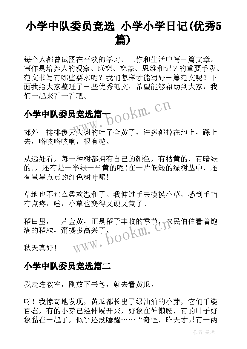 小学中队委员竞选 小学小学日记(优秀5篇)