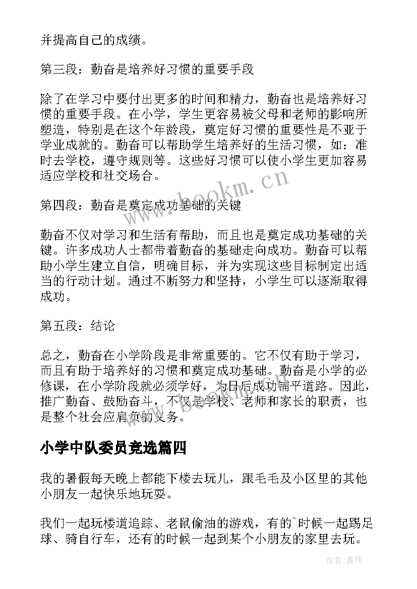 小学中队委员竞选 小学小学日记(优秀5篇)