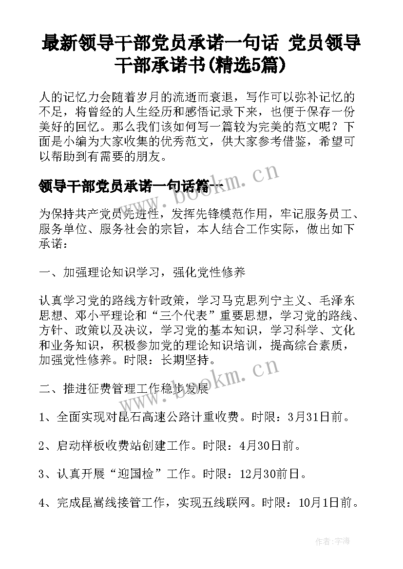 最新领导干部党员承诺一句话 党员领导干部承诺书(精选5篇)