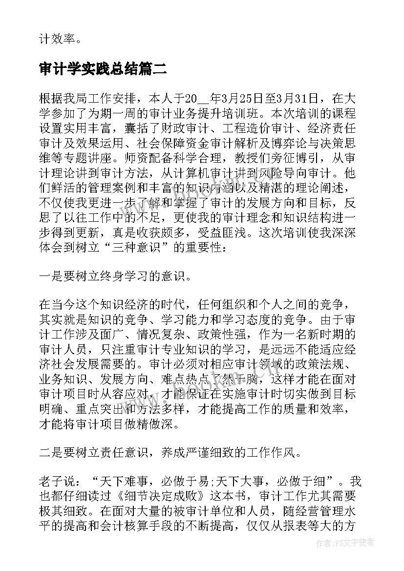 审计学实践总结(通用5篇)