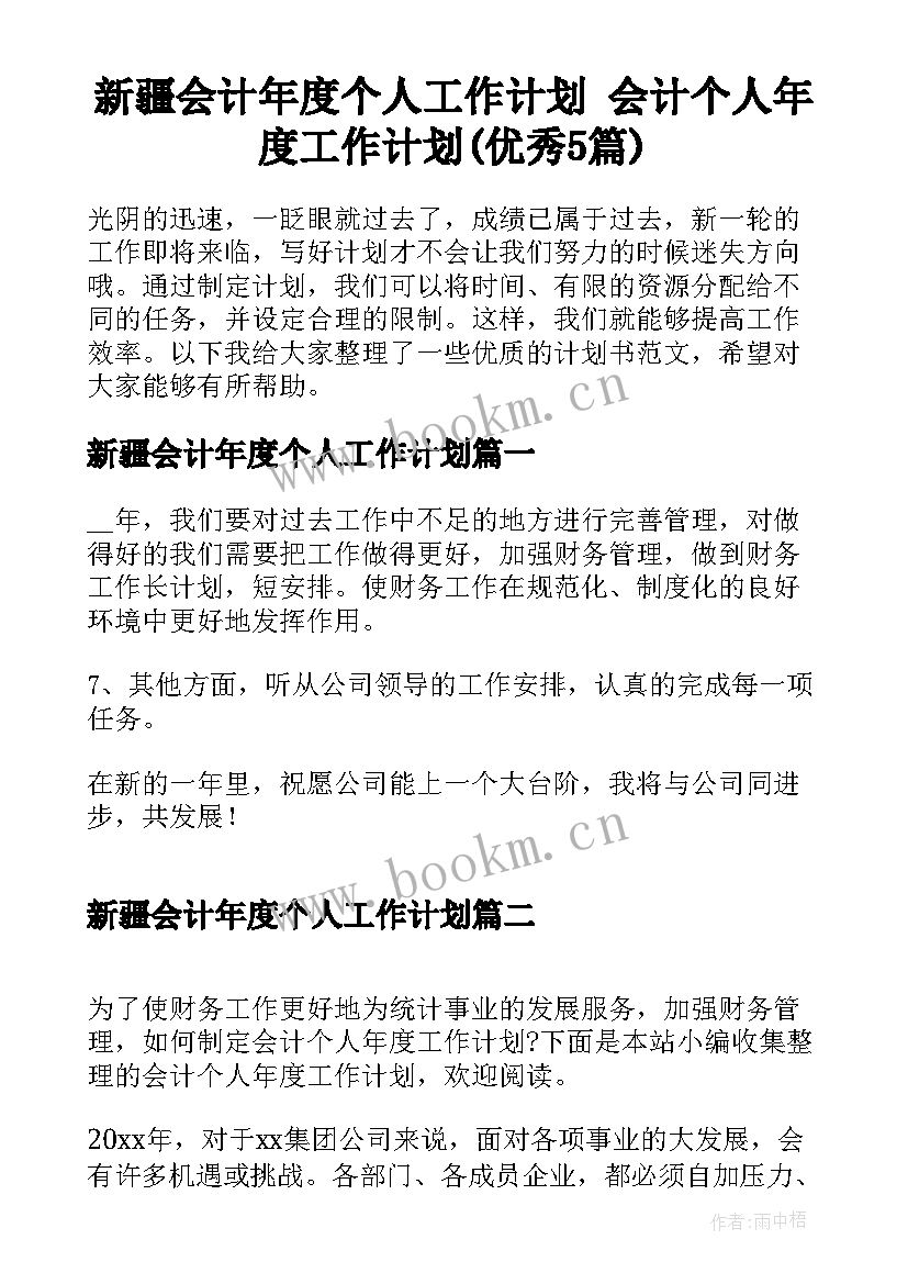 新疆会计年度个人工作计划 会计个人年度工作计划(优秀5篇)