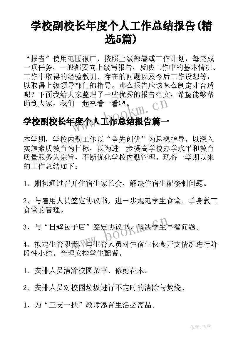 学校副校长年度个人工作总结报告(精选5篇)