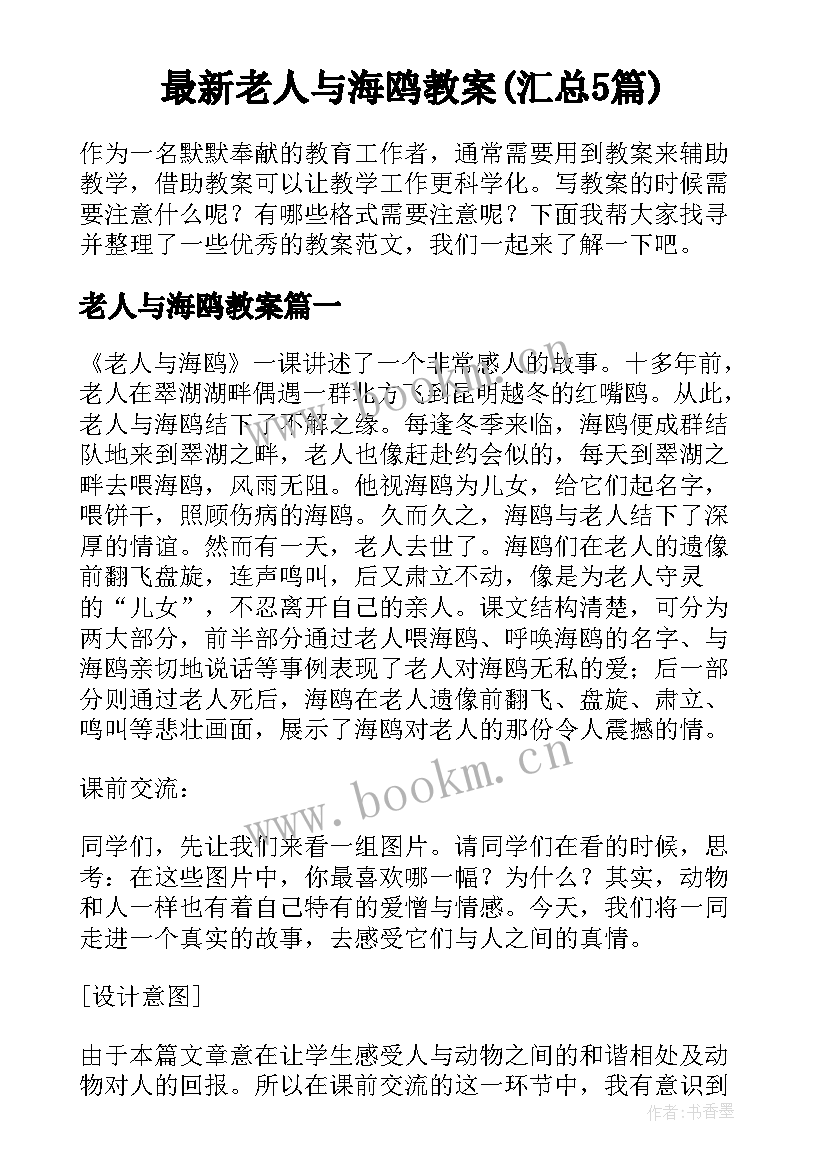 最新老人与海鸥教案(汇总5篇)