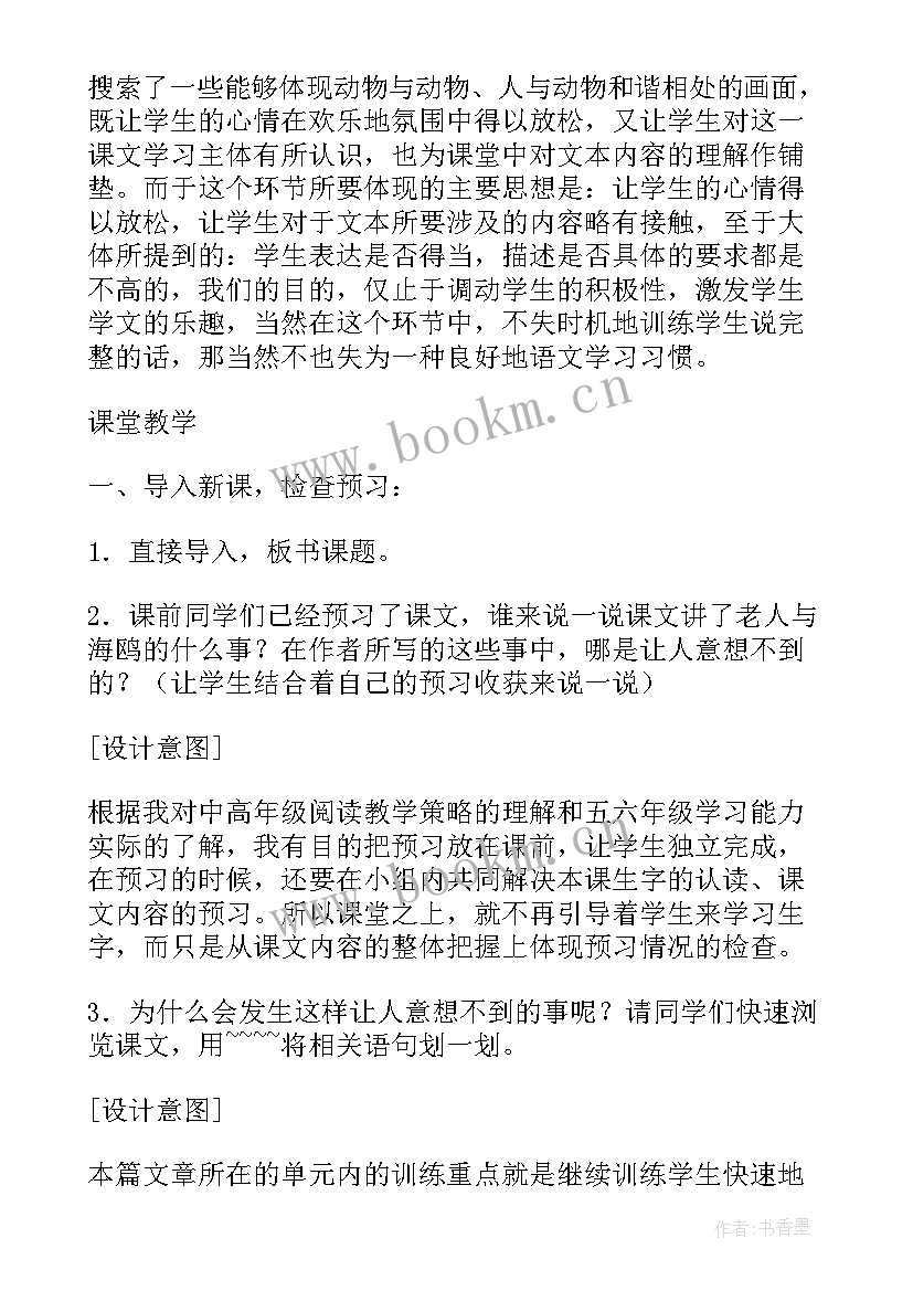 最新老人与海鸥教案(汇总5篇)