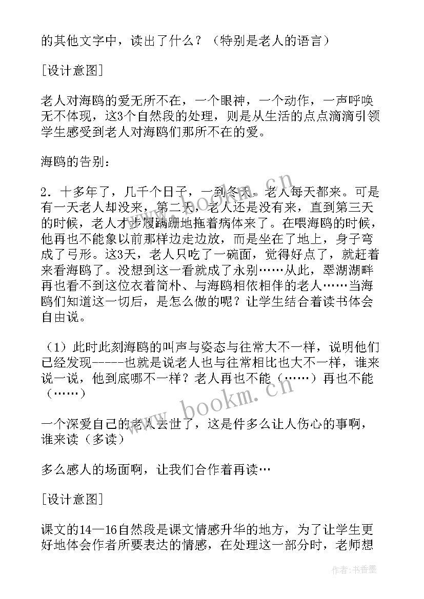 最新老人与海鸥教案(汇总5篇)