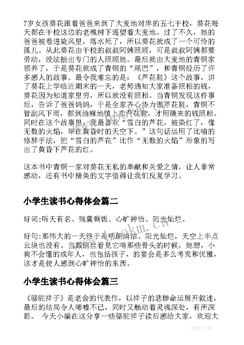 小学生读书心得体会(实用5篇)