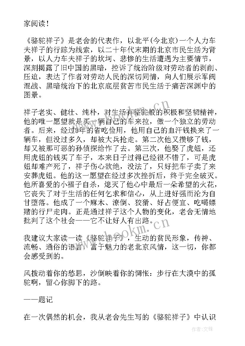 小学生读书心得体会(实用5篇)