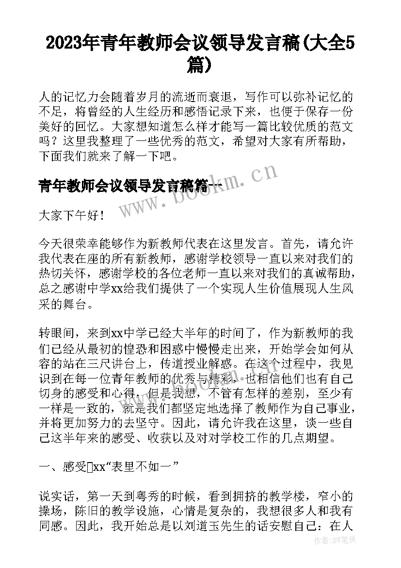 2023年青年教师会议领导发言稿(大全5篇)