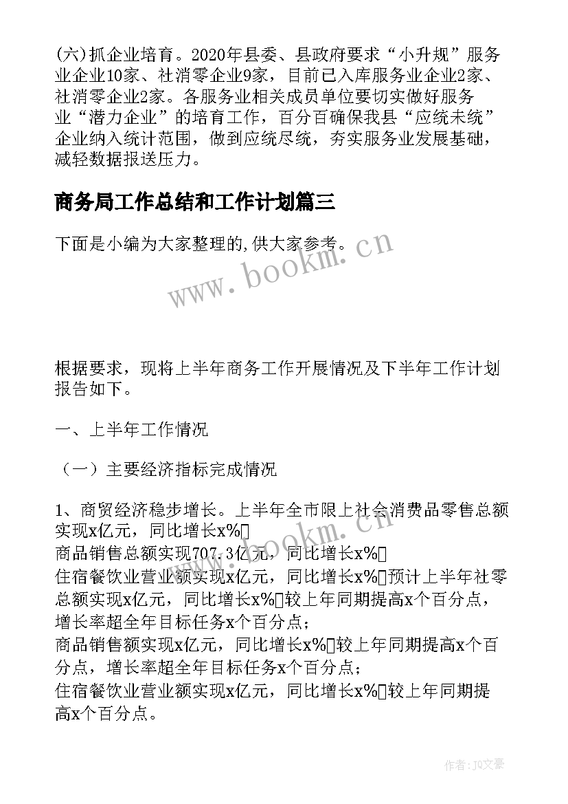 商务局工作总结和工作计划(模板5篇)