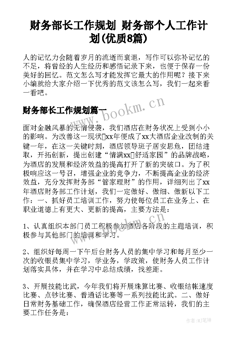 财务部长工作规划 财务部个人工作计划(优质8篇)