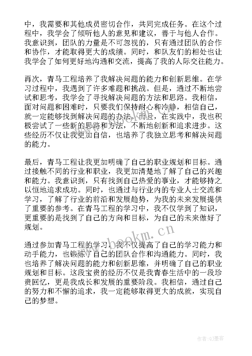 青马工程工作计划(精选5篇)