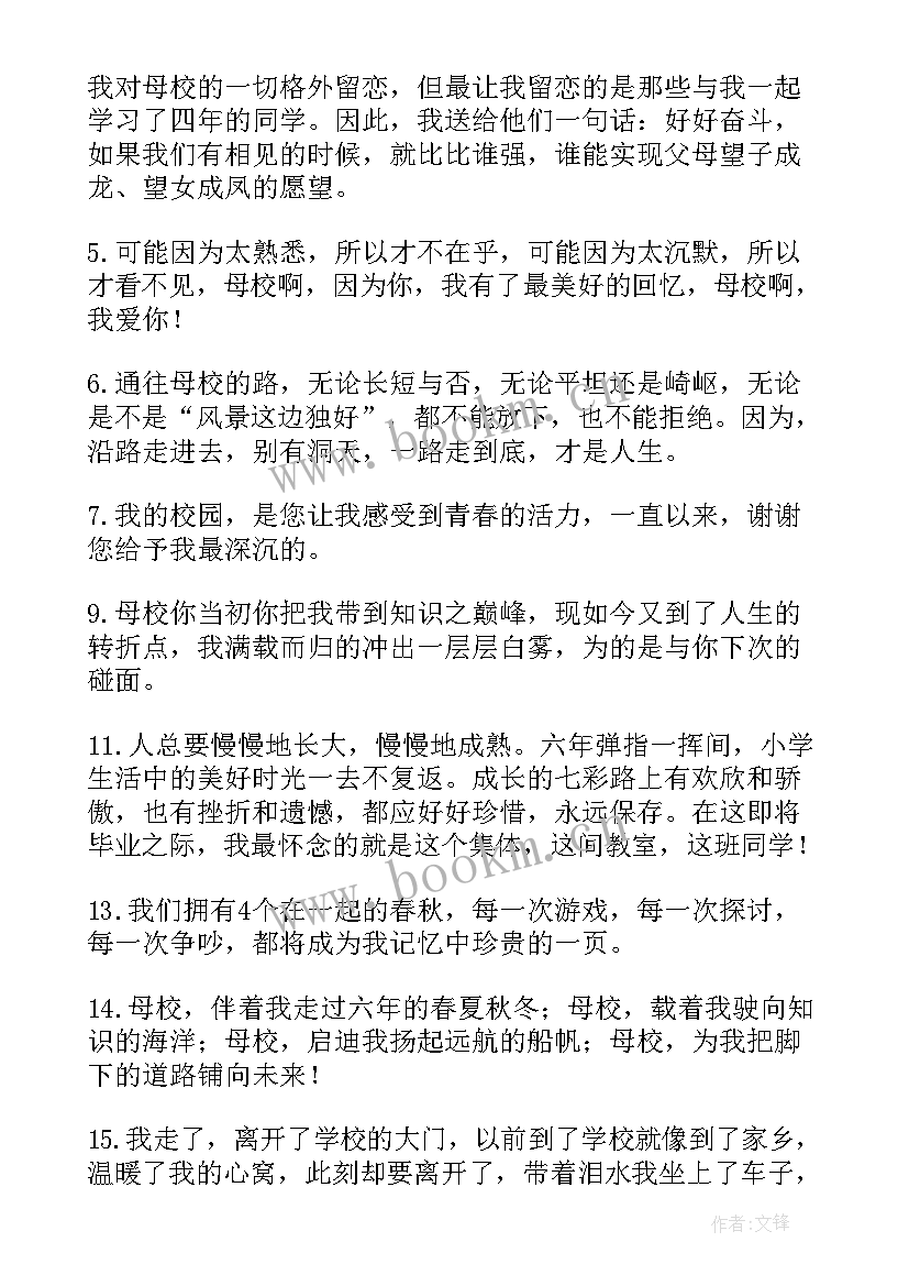 2023年初中毕业感恩老师的话语(通用5篇)