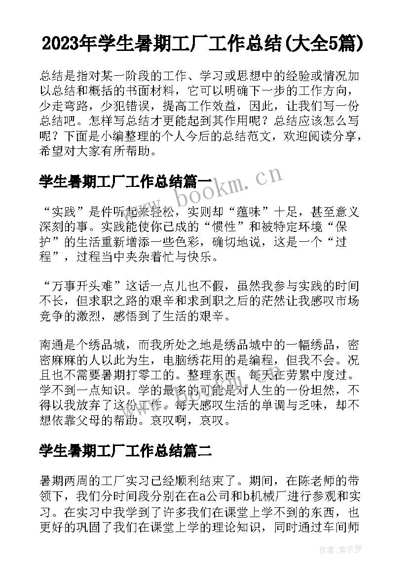 2023年学生暑期工厂工作总结(大全5篇)