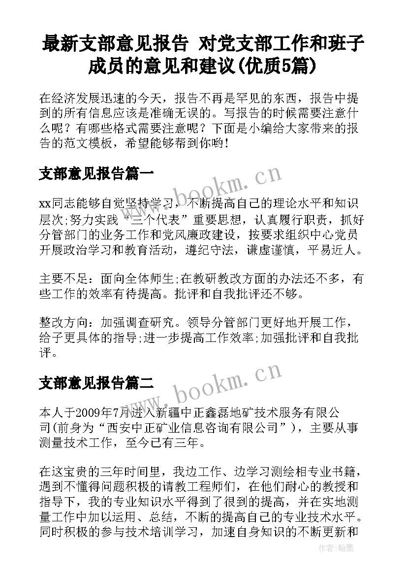 最新支部意见报告 对党支部工作和班子成员的意见和建议(优质5篇)